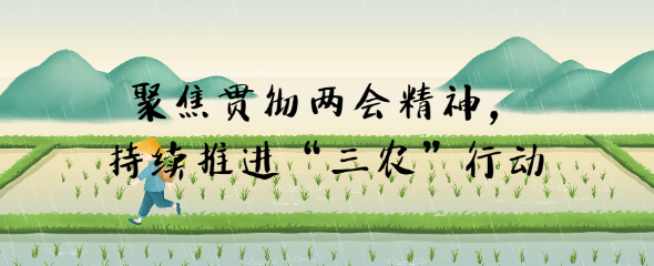 聚焦貫徹兩會精神，持續(xù)推進“三農”行動