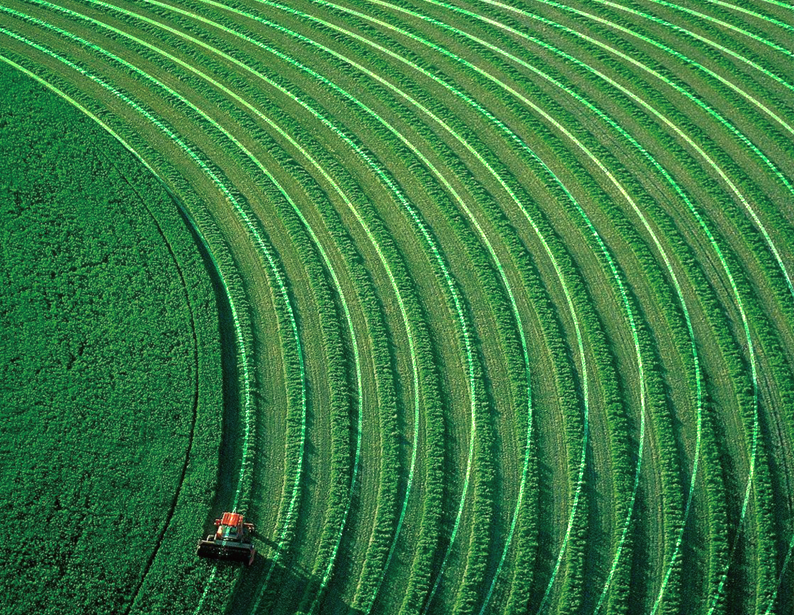 蒼穹集體土地管理系統(tǒng)